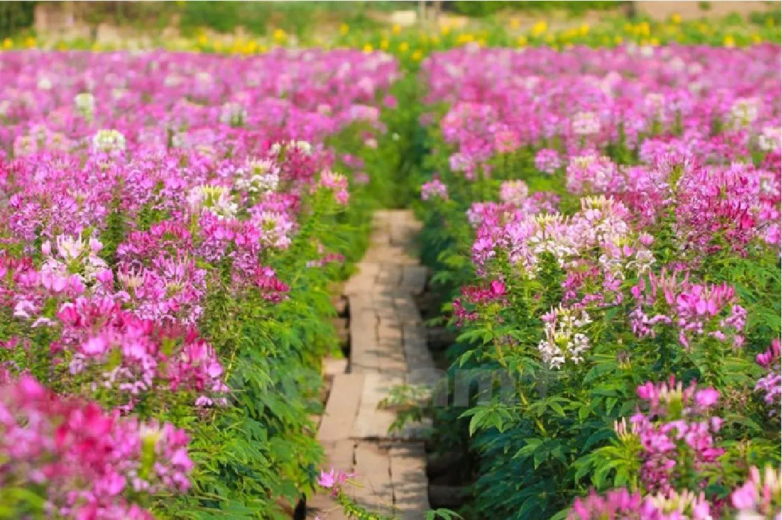 1-e03a8649-5084-45f2-b4ec-d44ef2a06dc0