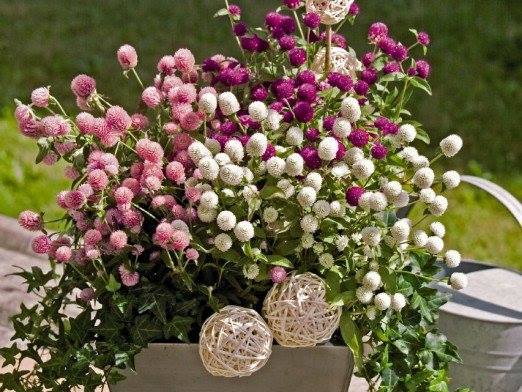 465985336_9590625814297499_1081686000570893163_n