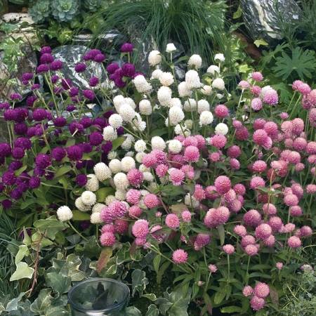 466163155_9590625434297537_5590120254602412125_n