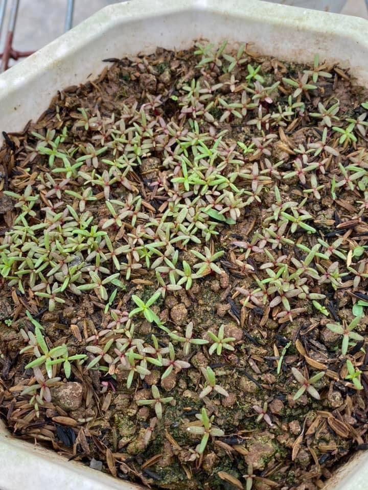 483524868_8690740867692502_4199432433269166599_n