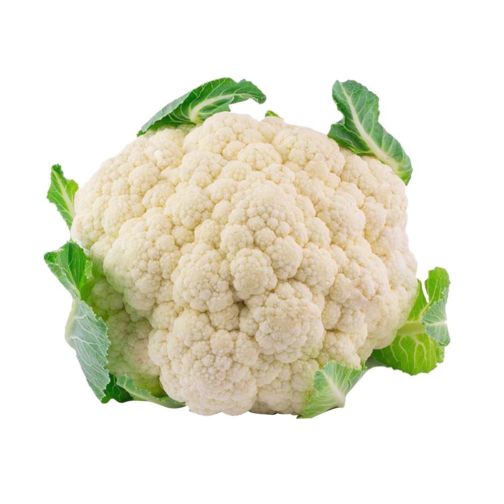 hạt giống súp lơ trắng 7