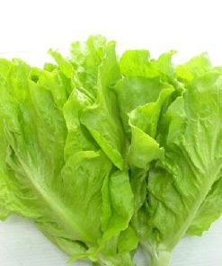 Hạt Giống Rau Xà Lách Dún Vàng