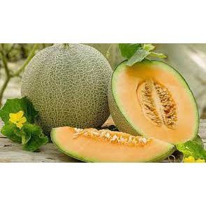 Hạt giống dưa lưới xanh ruột cam siêu ngọt 20 hạt