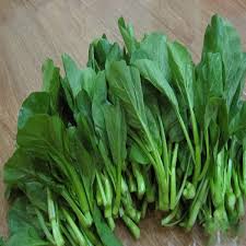 Hạt Giống CẢI NGỒNG Thân mập