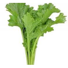 100gr Hạt Giống Rau Cải Mèo - Chịu Nhiệt Tốt, Dễ Trồng, Năng Suất Cao