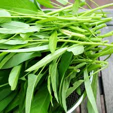 100gr Hạt Giống Rau Muống Chọn Lọc - Chịu Nhiệt Tốt, Dễ Trồng, Năng Suất Cao