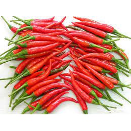 100gr Hạt Giống Ớt Chỉ Thiên - Chịu Nhiệt Tốt, Dễ Trồng, Năng Suất Cao