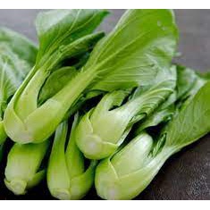 Hạt giống rau cải chíp (cải thìa - cải chít) 20gr