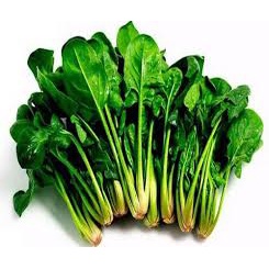 Hạt Giống Cải Bó Xôi (Rau Chân Vịt) Chịu Nhiệt, Dễ Trồng