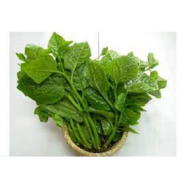 Hạt Giống Mùng Tơi Xanh Thân Mập Cao Sản 20g