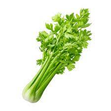 Hạt Giống Cần Tây Bẹ To 5gr