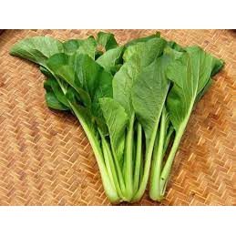 100gr Hạt Giống Rau Cải Ngọt - Chịu Nhiệt Tốt, Dễ Trồng, Năng Suất Cao