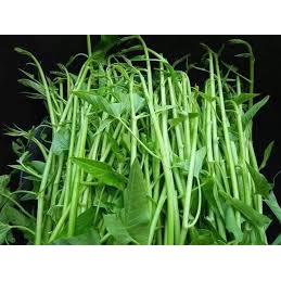 Hạt giống rau muống siêu ngọn