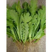 Hạt Giống CẢI CÚC NẾP (TẦN Ô)