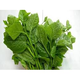 100gr Hạt Giống Rau Mồng Tơi - Chịu Nhiệt Tốt, Dễ Trồng, Năng Suất Cao