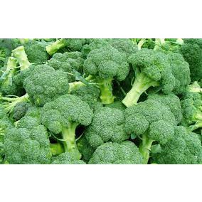 100gr Hạt Giống Súp Lơ Xanh - Chịu Nhiệt Tốt, Dễ Trồng, Năng Suất Cao