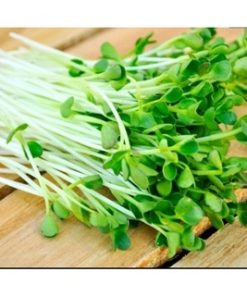 Hạt giống cải mầm dinh dưỡng 0.5g