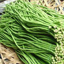 100gr Hạt Giống Đậu Đũa - Chịu Nhiệt Tốt, Dễ Trồng, Năng Suất Cao