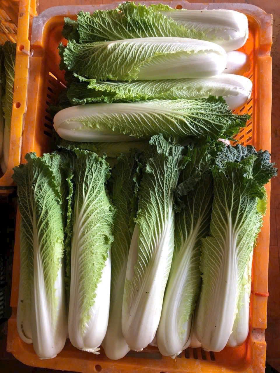 542142320_738721769223807_6750261724097138590_n