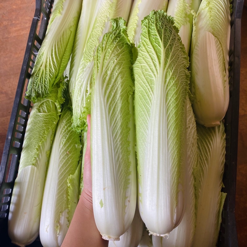 82d4eae465b90cd34bb1e08ef885cd23