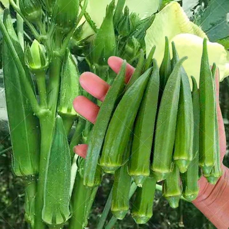 85151b7f4879688d91bbe1cfff589528