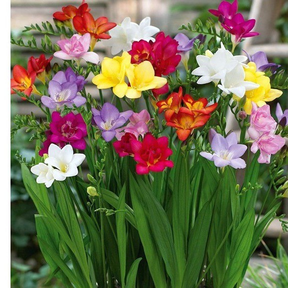 ada75c6ffe89866152efa7d6ded30c13