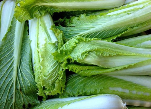 b625702c645541863b628d9dafda054f (1)