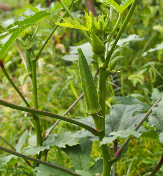 xr:d:DAFmyr67Emk:19,j:4925080692218604705,t:23062503