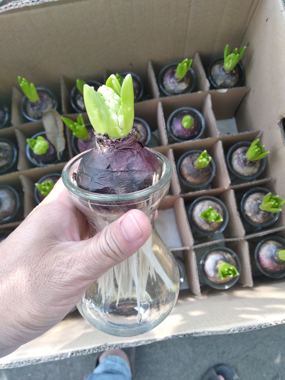 z2277310791448_9bcdbd9cb1355f753233a6332172cbe7