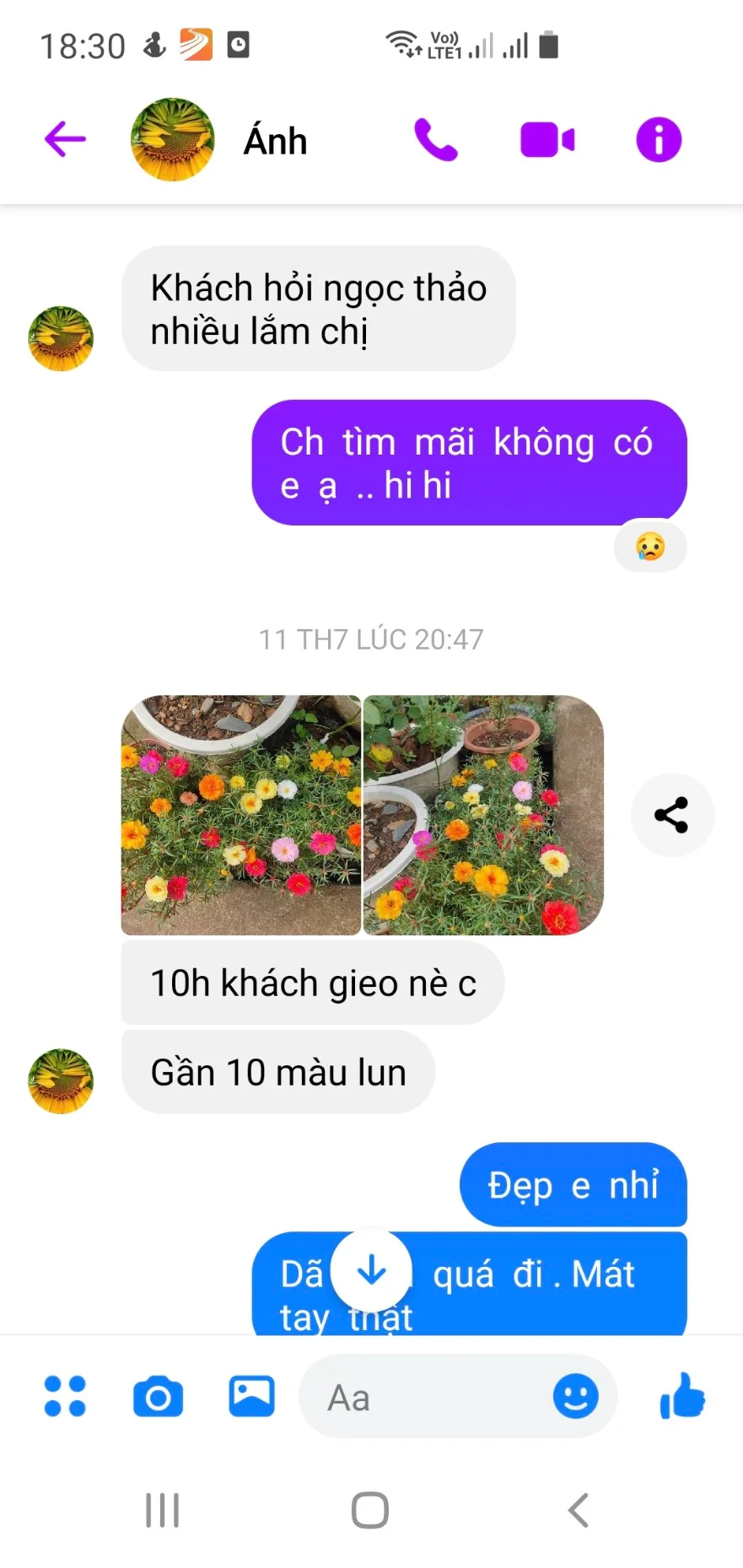 480933484_1172581724235599_4236737354521230403_n