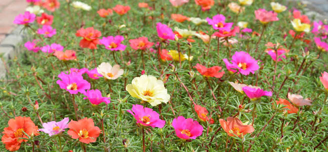images (1)