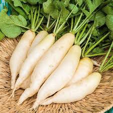 vuon-cu-cai-trang-xanh-tot.webp