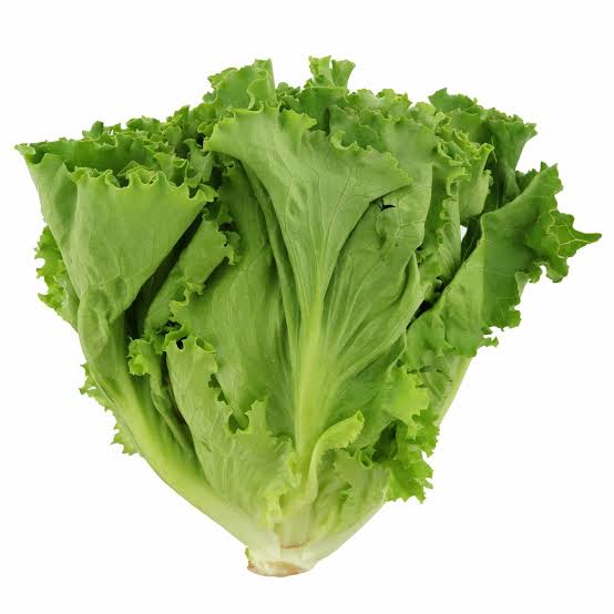 xa-lach-dum-truong-thanh.webp